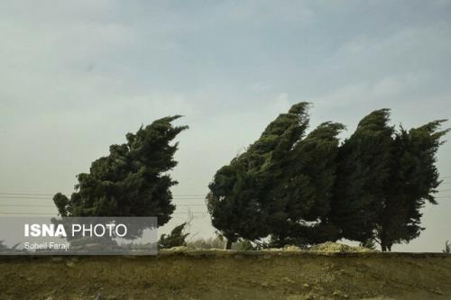 وزش باد شدید در ۹ استان