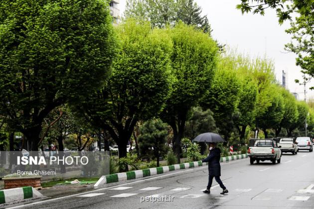 ماندگاری هوای سرد و یخبندان شبانه در تهران تا فردا