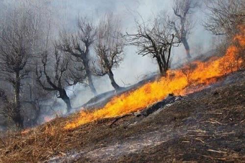 بیش از ۳۹۰ هکتار از اراضی و جنگل های خوزستان خسارت دیدند