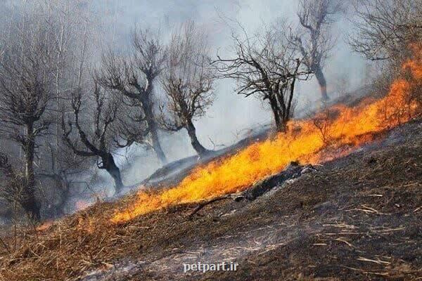 بیش از ۳۹۰ هکتار از اراضی و جنگل های خوزستان خسارت دیدند