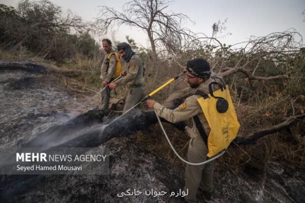 مهار حریق جنگل های خاییز بهبهان باتلاش بیش از ۳۰۰ نفر