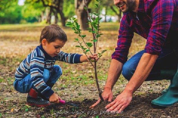 قدمهای بزرگ جهت راه اندازی نهالستان