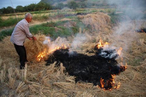 تشکیل ۱۷۹ پرونده مقابل متخلفان سوزندان بقایای کشاورزی در خوزستان