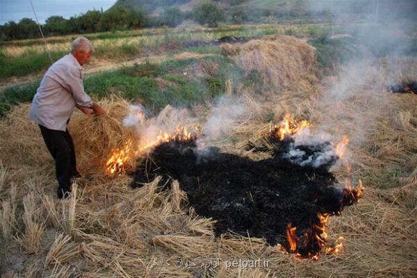 تشکیل ۱۷۹ پرونده مقابل متخلفان سوزندان بقایای کشاورزی در خوزستان