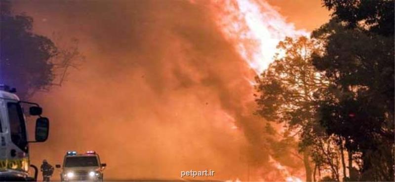 تلاش گسترده برای مهار آتش سوزی های استرالیا با پیش بینی افزایش دما